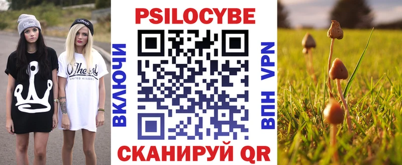 купить цена Сургут Псилоцибиновые грибы MAGIC MUSHROOMS